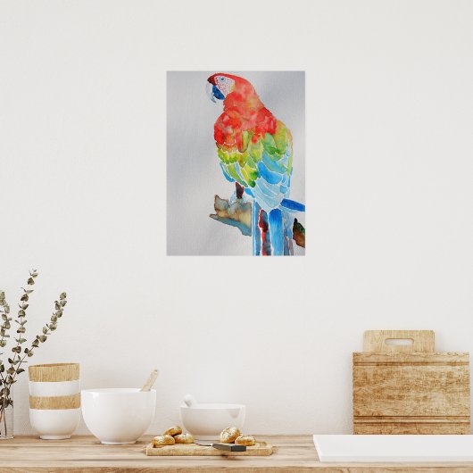 赤黄色マコーオウム水彩画ポスター ポスター (キッチン)