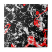 赤黒大理石 タイル (正面)