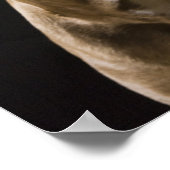 赤鼻ピットブルと黒のポートレート ポスター (角)