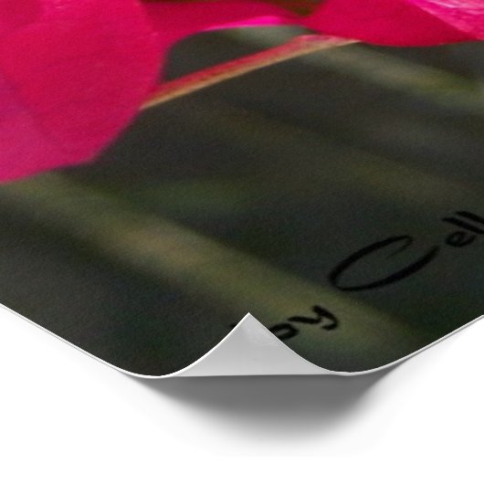 赤003 ポスター (角)