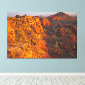 赤32x48の崖 キャンバスプリント (インサイチュ (ウッドフロア))