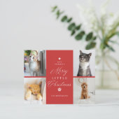 赤4フォトリトルメリークリスマスペットの休日 シーズンポストカード (スタンド正面)