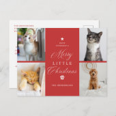 赤4フォトリトルメリークリスマスペットの休日 シーズンポストカード (正面/裏面)