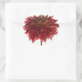 赤、オレンジ、黄色のダリアのシール ラウンドシール (バッグ)