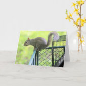 赤 カード (黄色い花)