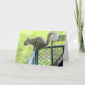 赤 カード (正面)