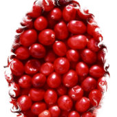 赤 キッチンタオル