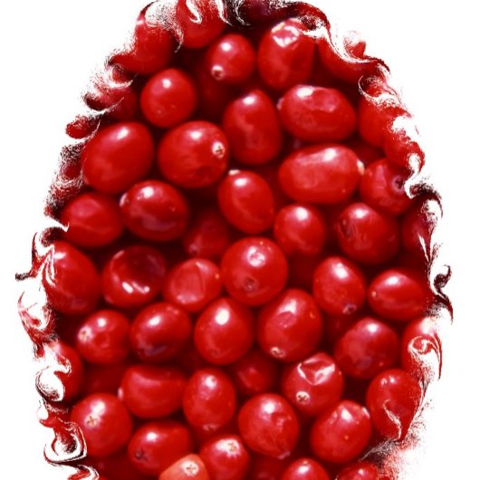 赤 キッチンタオル