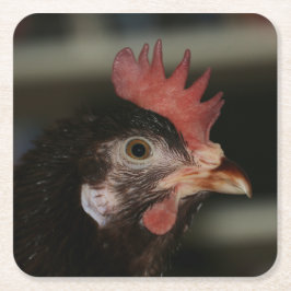 赤 スクエアペーパーコースター