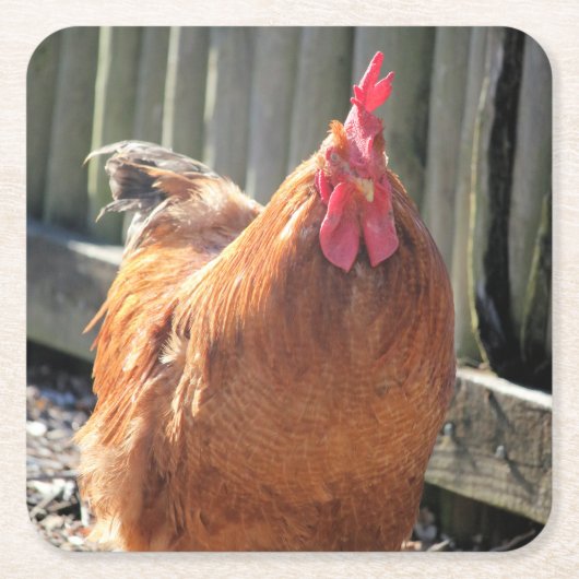 赤 スクエアペーパーコースター (正面)