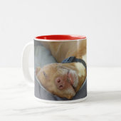 赤 ツートーンマグカップ (正面左)