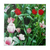 赤&ピンクチューリップ写真スプーンレスト タイル (正面)