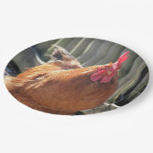 赤 ペーパープレート (アングル)