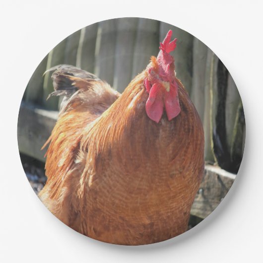 赤 ペーパープレート (正面)