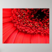 赤 ポスター (正面)