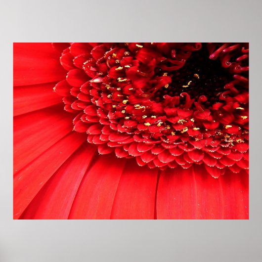 赤 ポスター (正面)