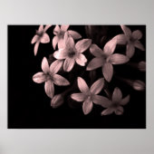 赤 ポスター (正面)