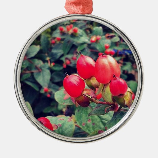 赤 メタルオーナメント (正面)