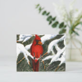 "赤"国道葉書 ポストカード (スタンド正面)