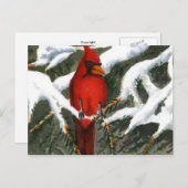 "赤"国道葉書 ポストカード (正面/裏面)