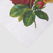 赤、桃、ピンクのバラ 薄葉紙 (詳細)