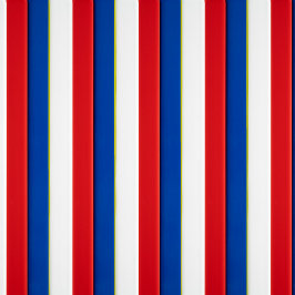 赤（白）と青 レギンス