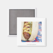 赤、白、青のホットドッグプレート マグネット (正面/裏面)