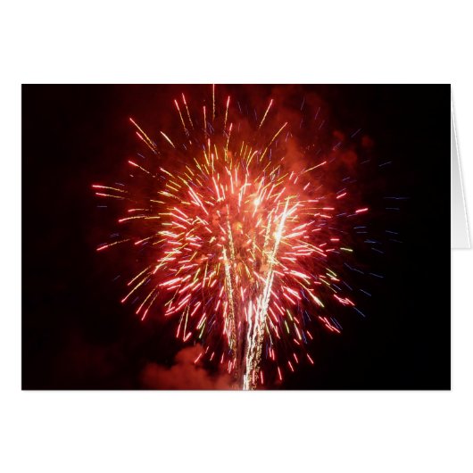 赤・白・青の花火II愛国心 (正面横)