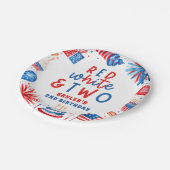 赤、白、2日7月2日の誕生日パーティー ペーパープレート (アングル)