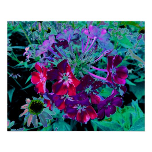赤、紫、ピンクの劇的な庭の花 ポスター (正面)