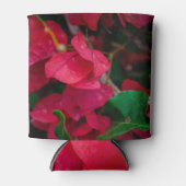 赤 缶クーラー (正面)