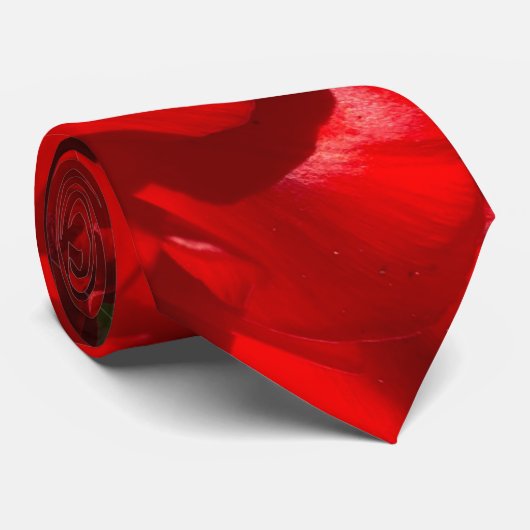 赤(赤) ネクタイ (ロール)