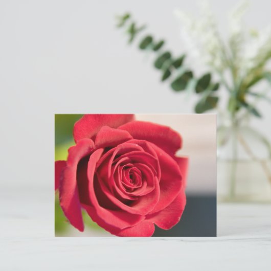 赤、赤、バラ ポストカード (スタンド正面)