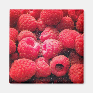 赤（赤） マグネット