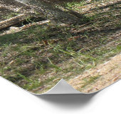 赤（銅） ポスター (角)