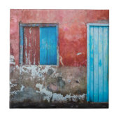 赤、青、灰色の壁、ドアと窓 タイル (正面)