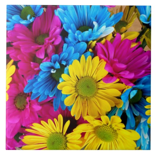 赤・青・黄タイル タイル (正面)