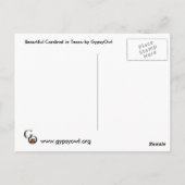 赤（鳥）ショウジョウコウカンチョウはがき ポストカード (裏面)