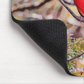 赤(鳥)ショウジョウコウカンチョウバードアートマウスパッド マウスパッド (コーナー)