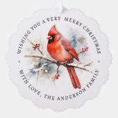 赤（鳥）ショウジョウコウカンチョウ水色カスタム写真 オーナメントカード (正面)