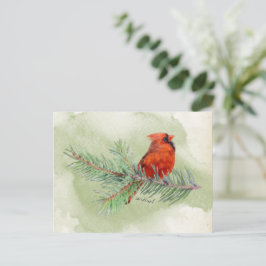 赤（鳥）ショウジョウコウカンチョウ美素朴しい水色 ポストカード