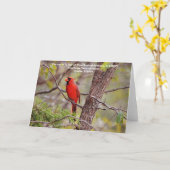 赤（鳥）ショウジョウコウカンチョウ聖なる書物、 経典カード詩編119:64 カード (黄色い花)