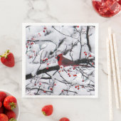 赤（鳥）ショウジョウコウカンチョウ雪の木の写真 (インサイチュ)