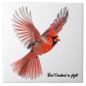 赤(鳥)ショウジョウコウカンチョウ飛行中 タイル (正面)