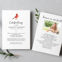 赤（鳥）ショウジョウコウカンチョウ鳥お祝いの写真