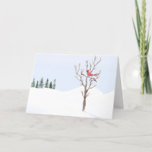 赤（鳥）ショウジョウコウカンチョウ鳥の平和オン地球メリークリスマス