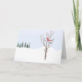 赤（鳥）ショウジョウコウカンチョウ鳥の平和オン地球メリークリスマス シーズンカード