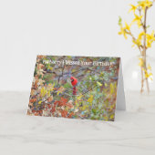 赤(鳥)ショウジョウコウカンチョウ鳥ベ恋しく思ル誕生日カード カード (黄色い花)