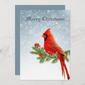 赤（鳥）ショウジョウコウカンチョウ鳥聖降誕祭祝い シーズンカード (正面/裏面)