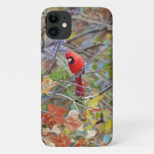 赤（鳥）ショウジョウコウカンチョウ鳥自然アートフォンケース iPhone 11 ケース